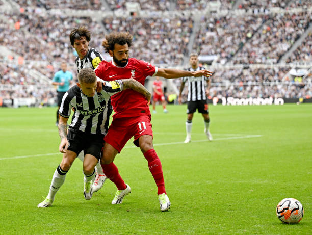 这让球迷们 这让球迷们